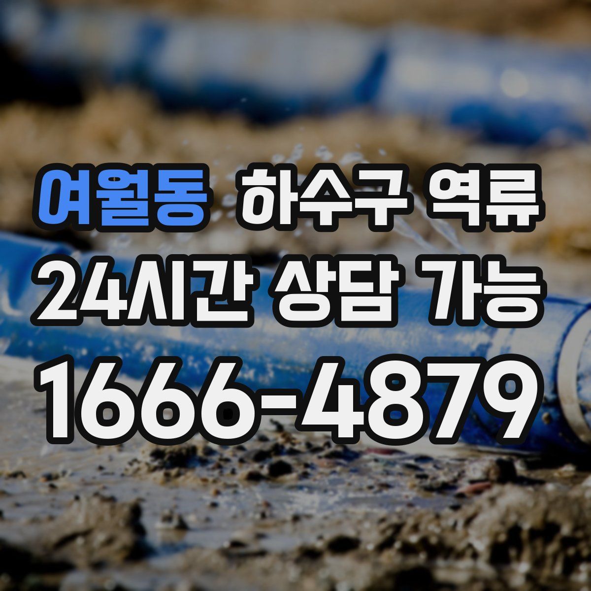 여월동 하수구 역류