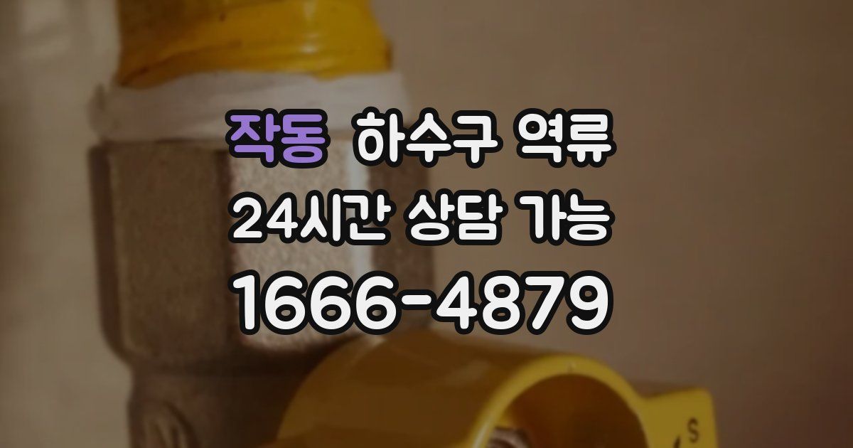 작동 하수구 역류