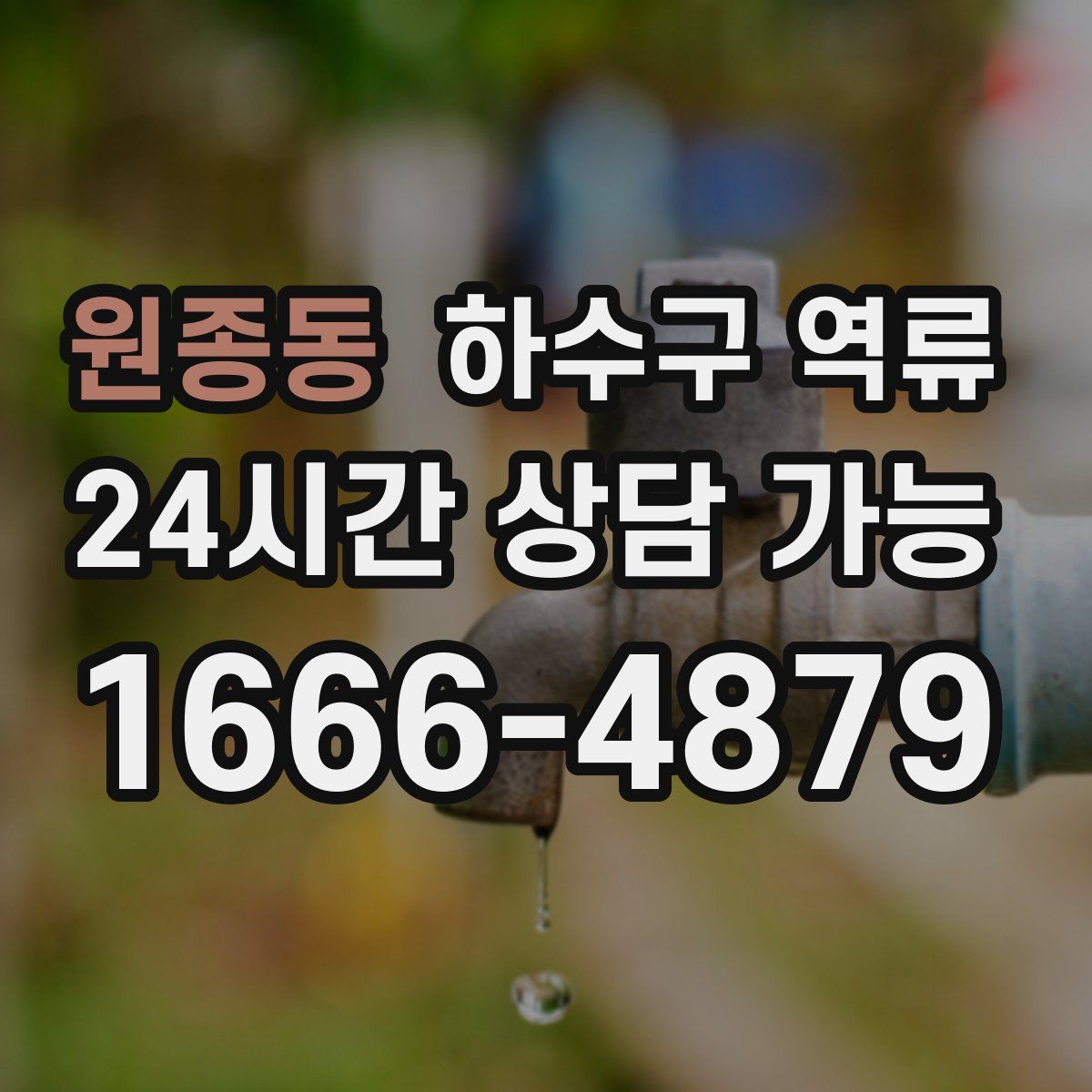 원종동 하수구 역류