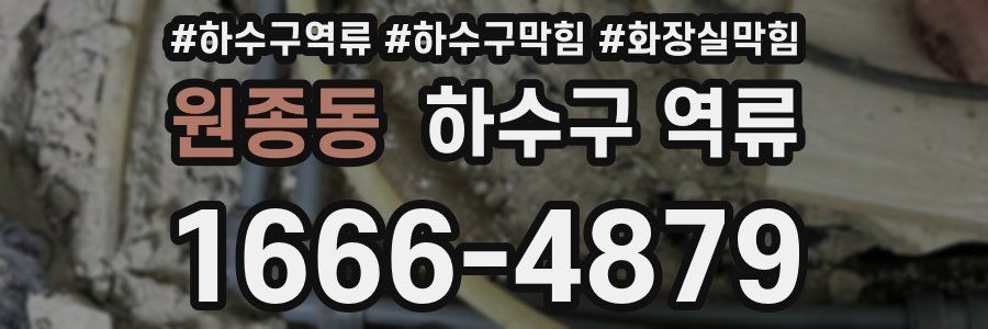 원종동 하수구 역류
