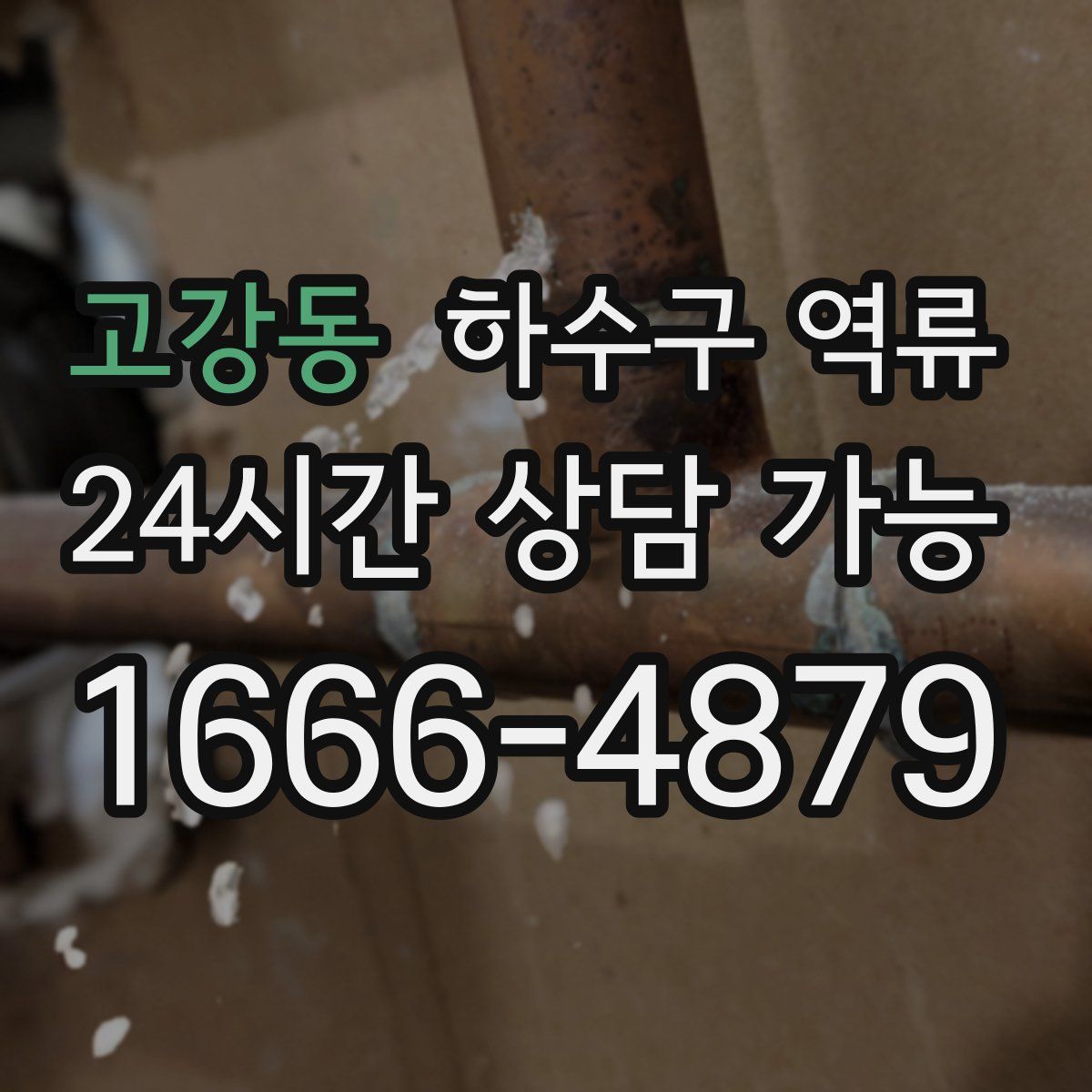 고강동 하수구 역류