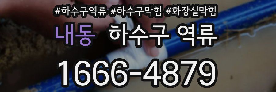 내동 하수구 역류