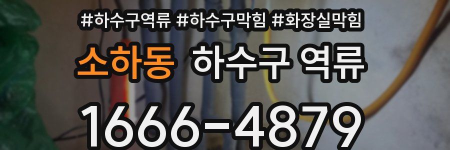 소하동 하수구 역류