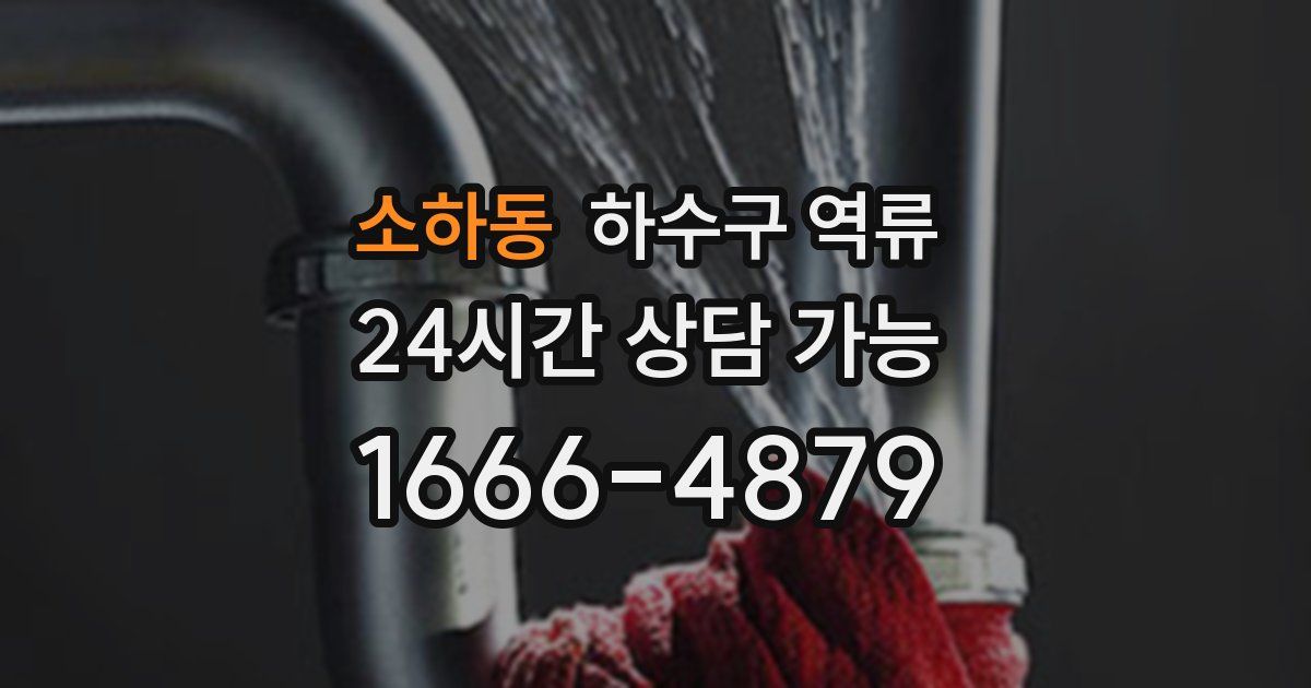 소하동 하수구 역류