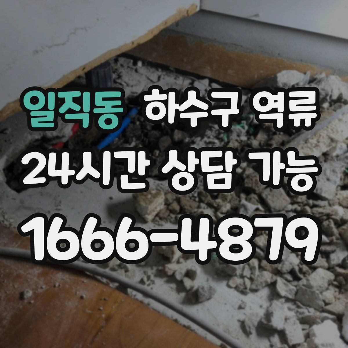 일직동 하수구 역류