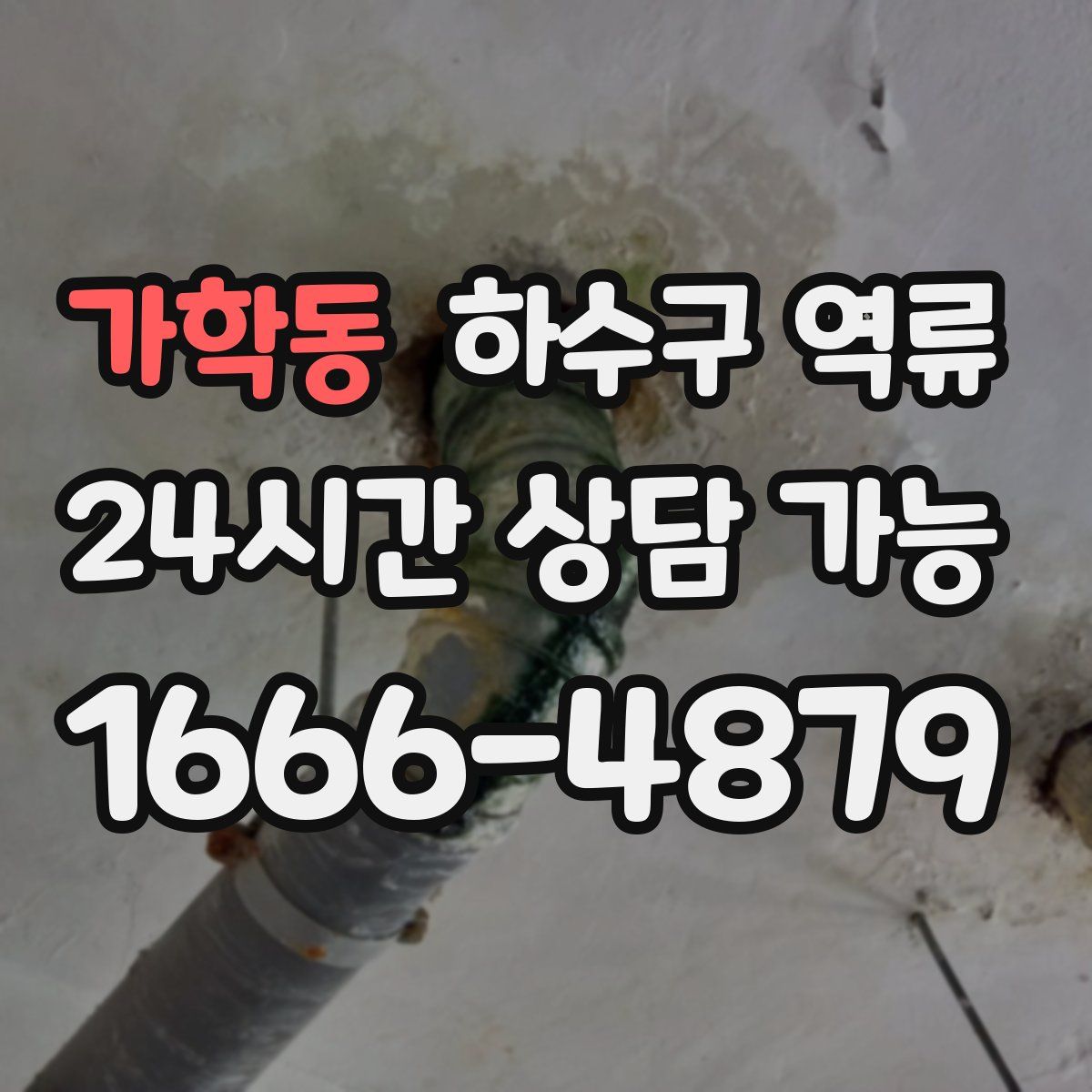 가학동 하수구 역류