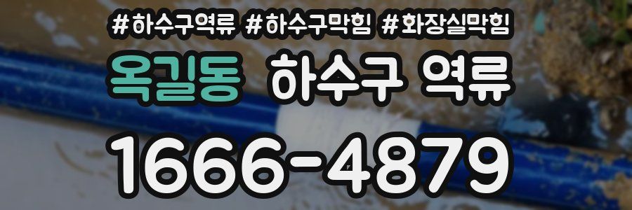 옥길동 하수구 역류