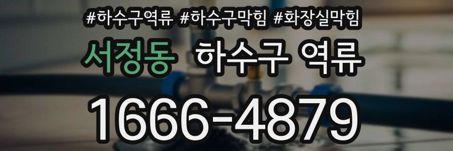 서정동 하수구 역류