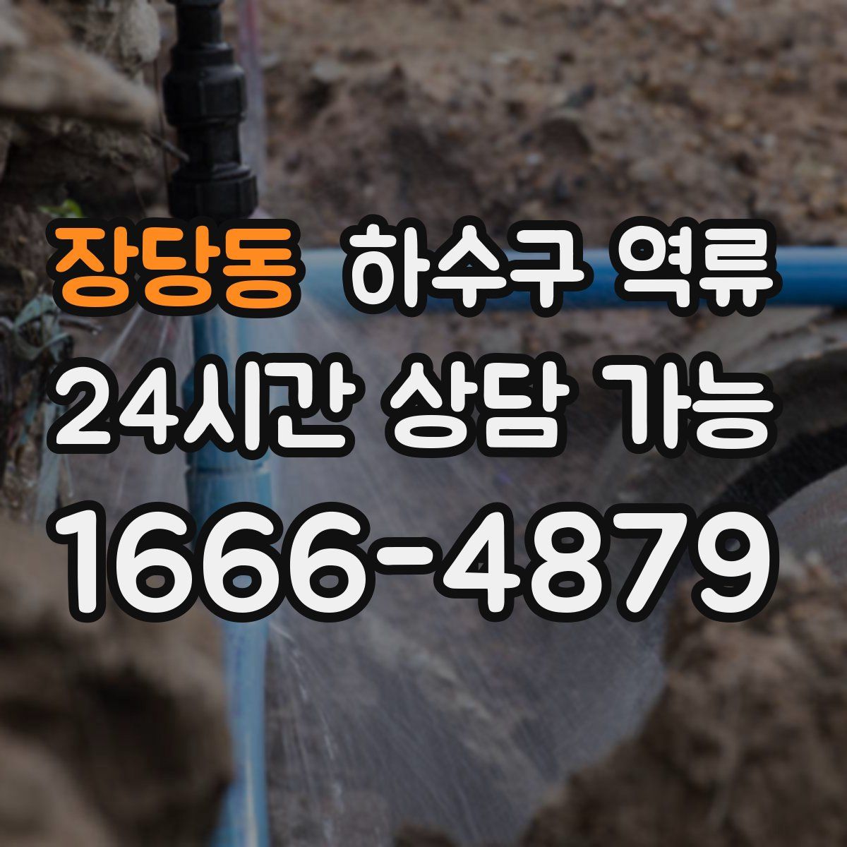 장당동 하수구 역류