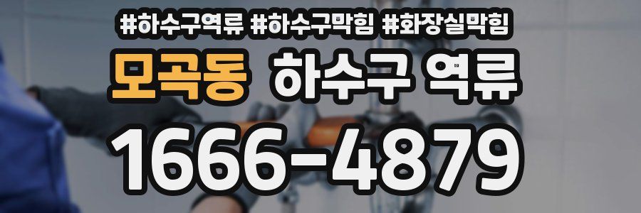 모곡동 하수구 역류