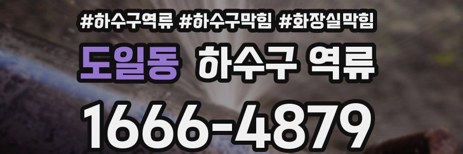 도일동 하수구 역류