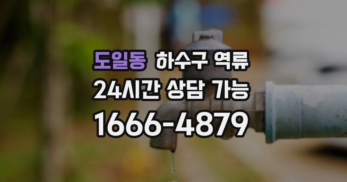 도일동 하수구 역류