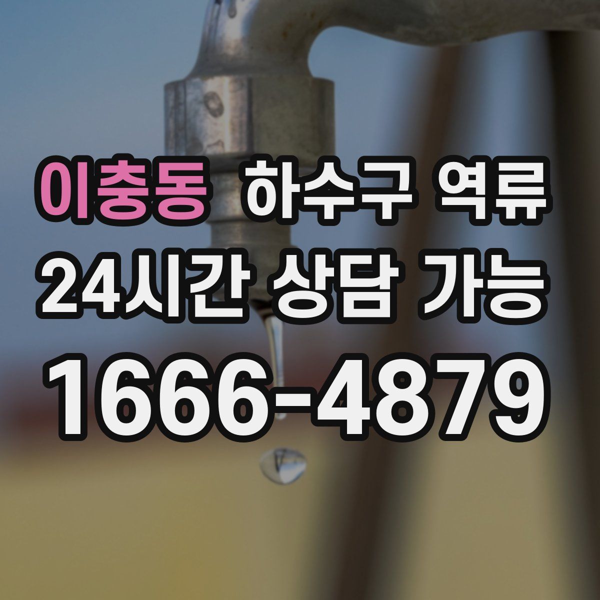 이충동 하수구 역류