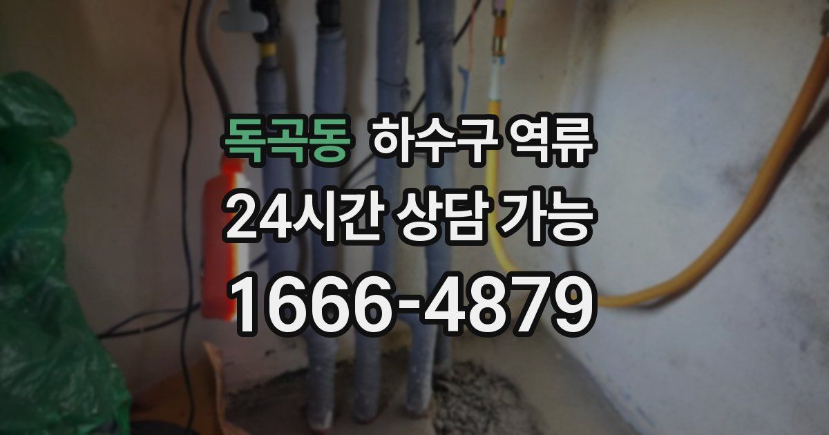 독곡동 하수구 역류