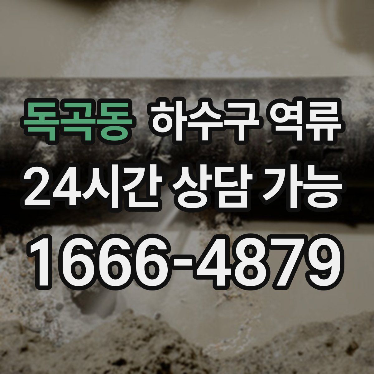 독곡동 하수구 역류