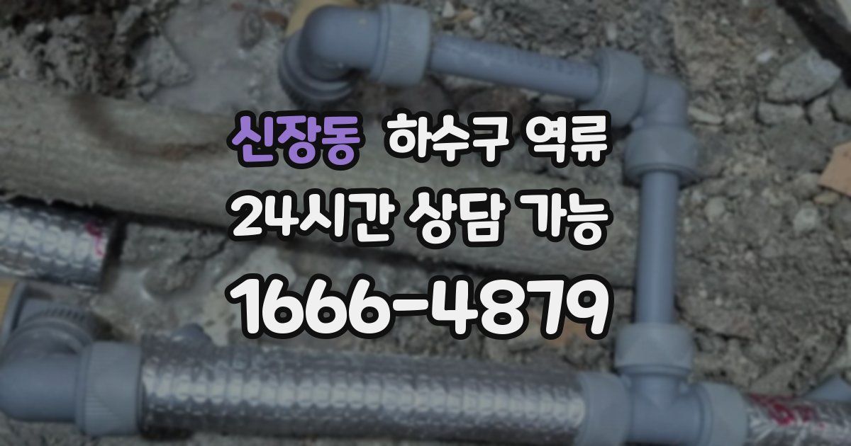 신장동 하수구 역류