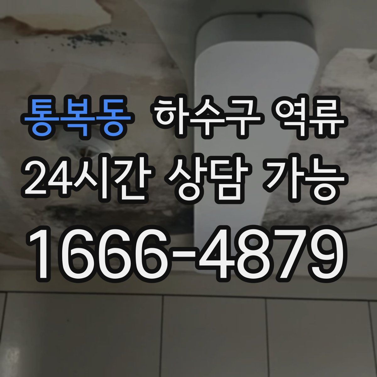 통복동 하수구 역류