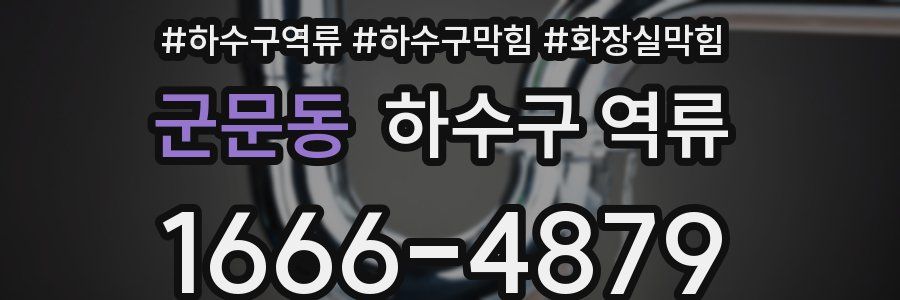 군문동 하수구 역류