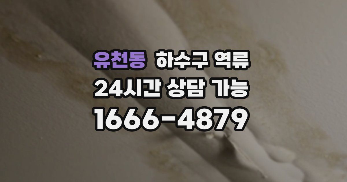 유천동 하수구 역류