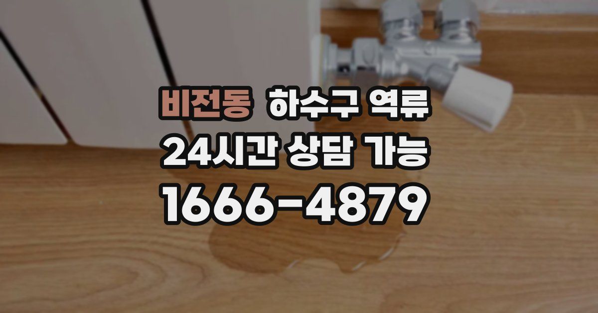 비전동 하수구 역류