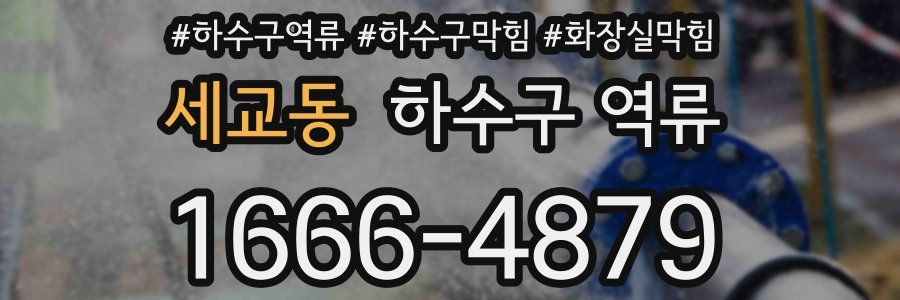 세교동 하수구 역류
