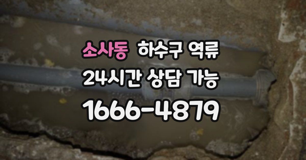 소사동 하수구 역류
