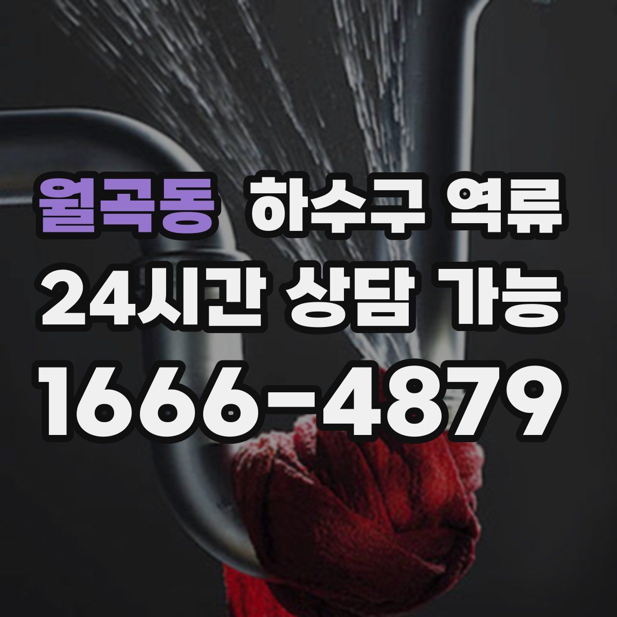 월곡동 하수구 역류