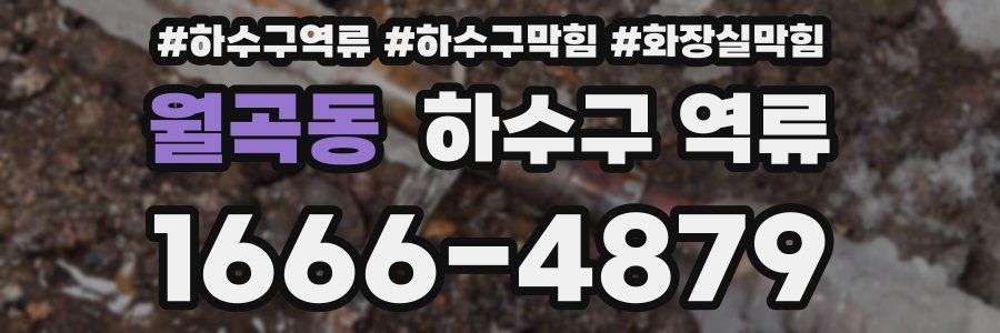 월곡동 하수구 역류