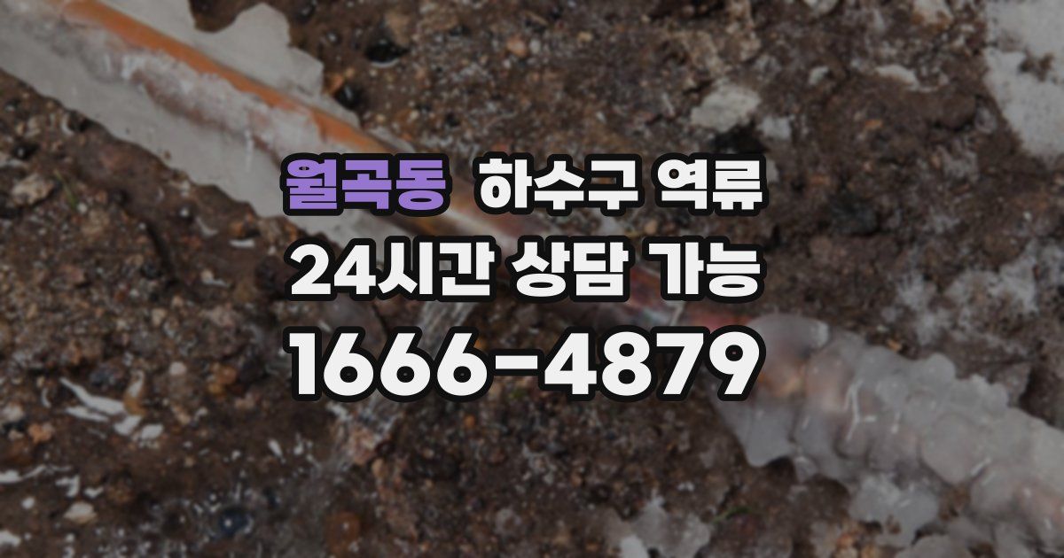 월곡동 하수구 역류