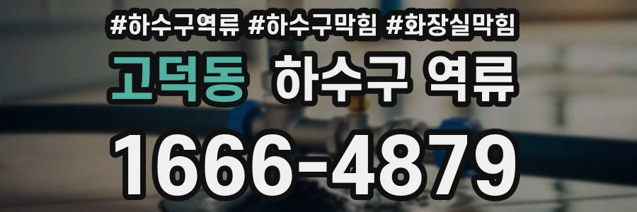 고덕동 하수구 역류