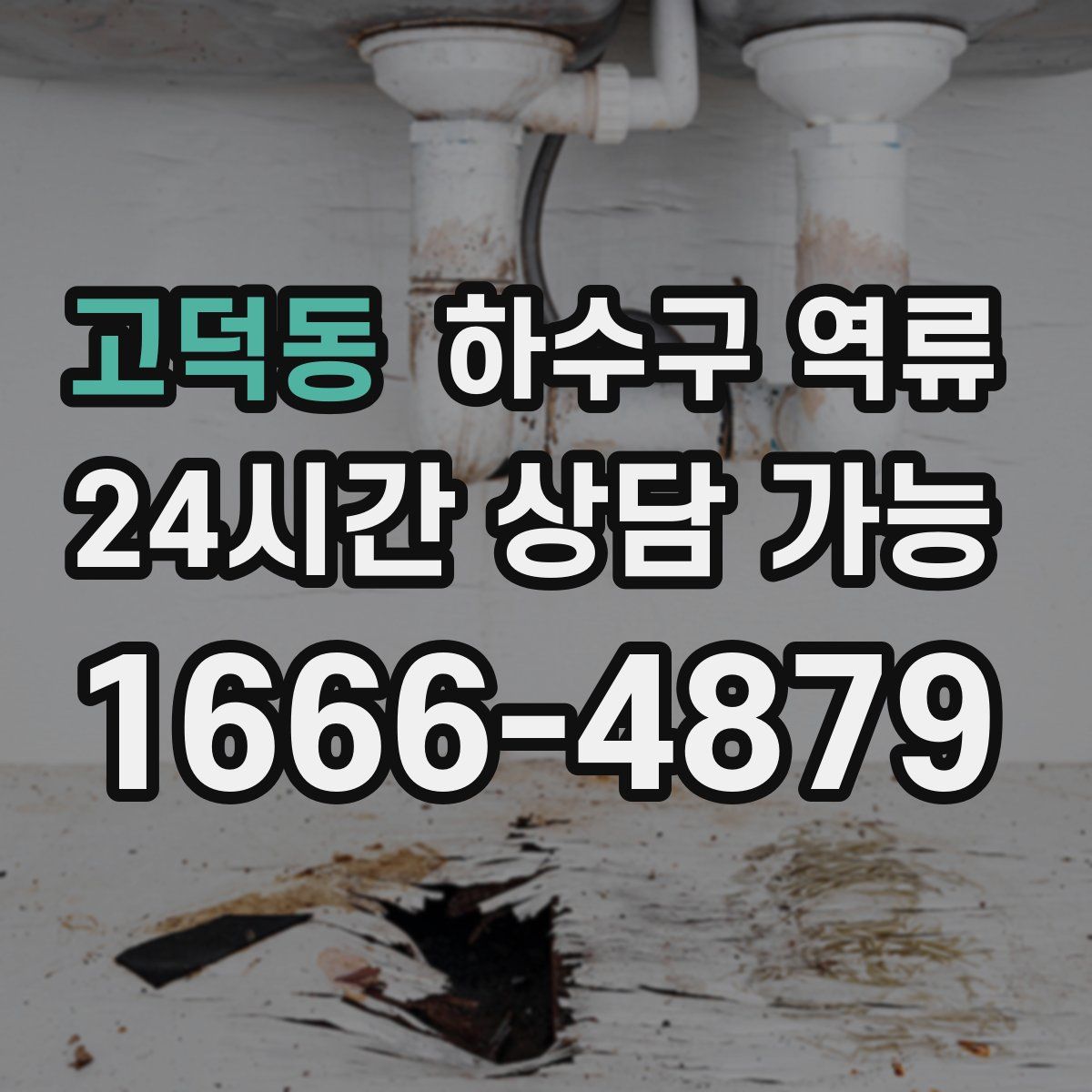 고덕동 하수구 역류