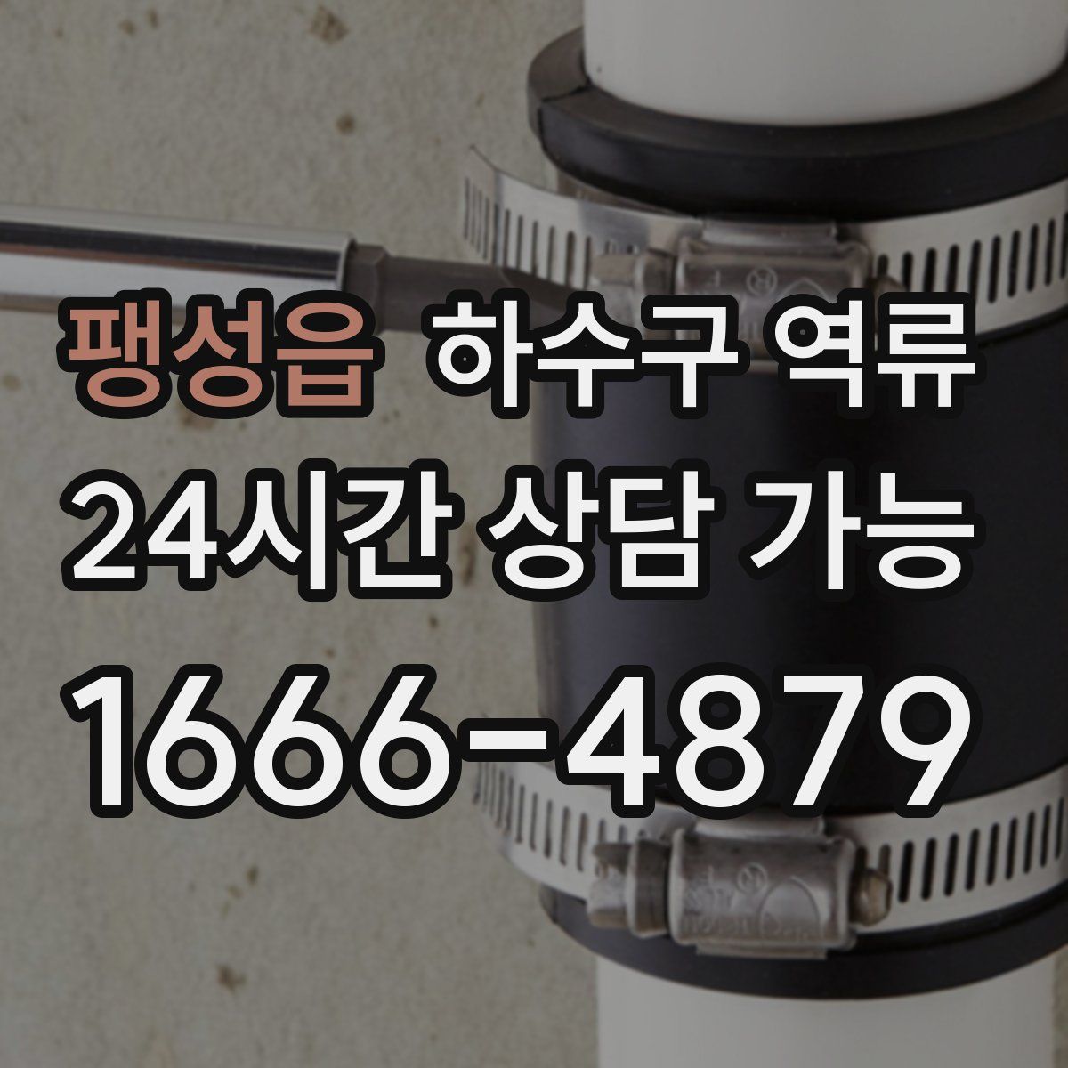 팽성읍 하수구 역류