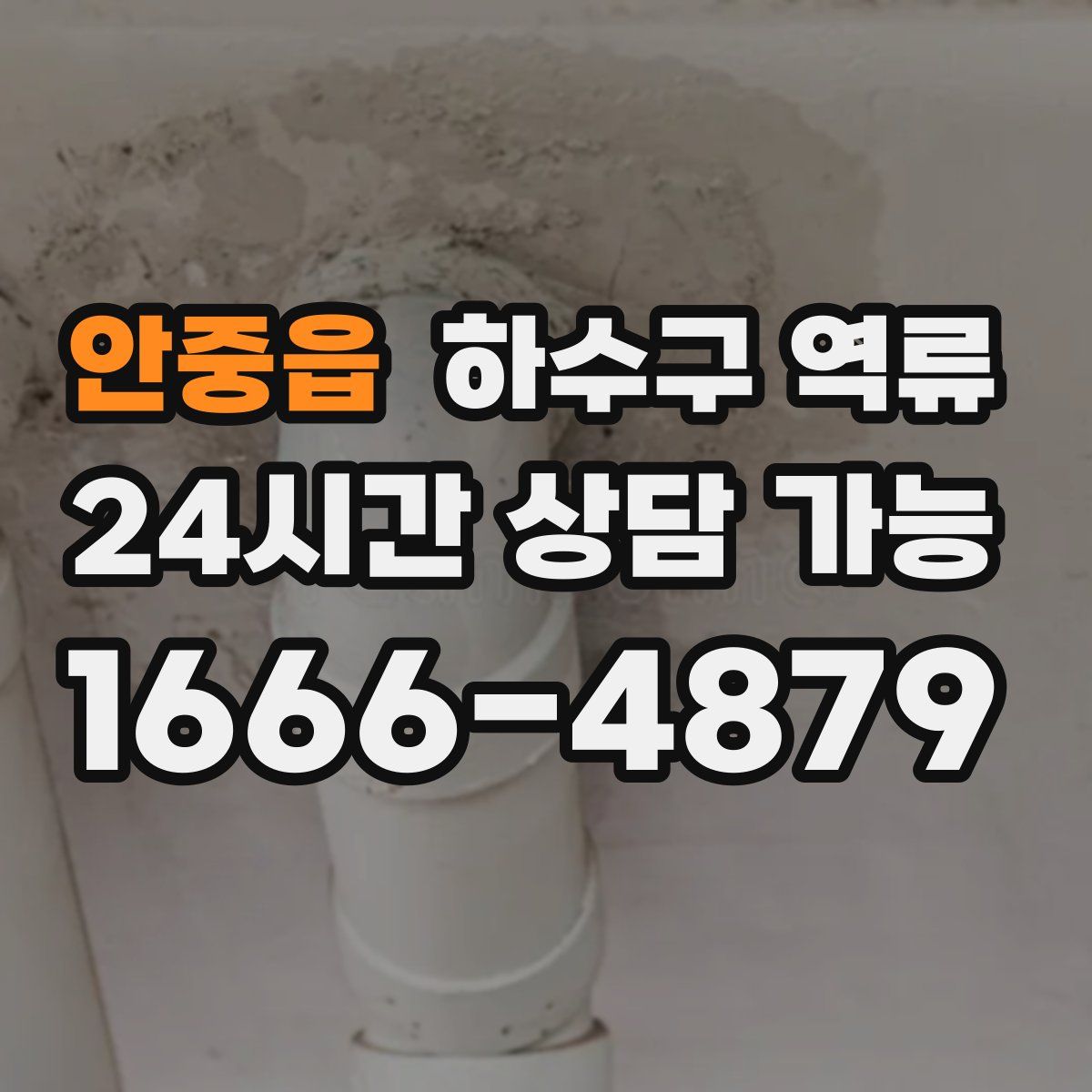 안중읍 하수구 역류