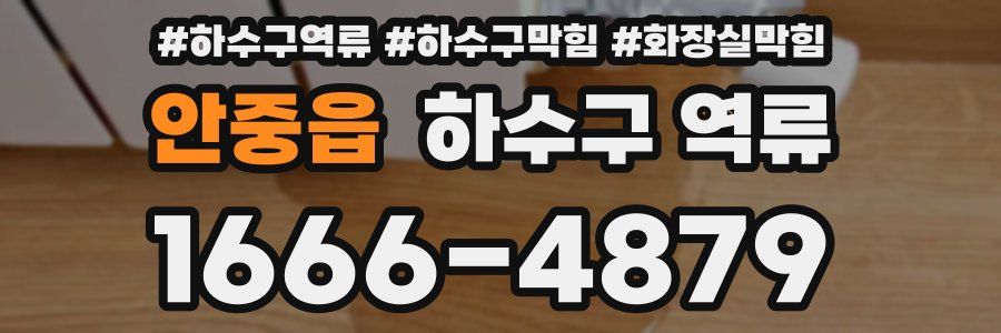 안중읍 하수구 역류