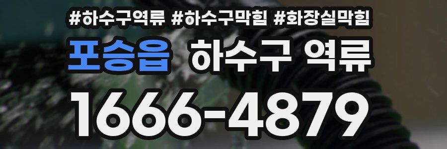 포승읍 하수구 역류