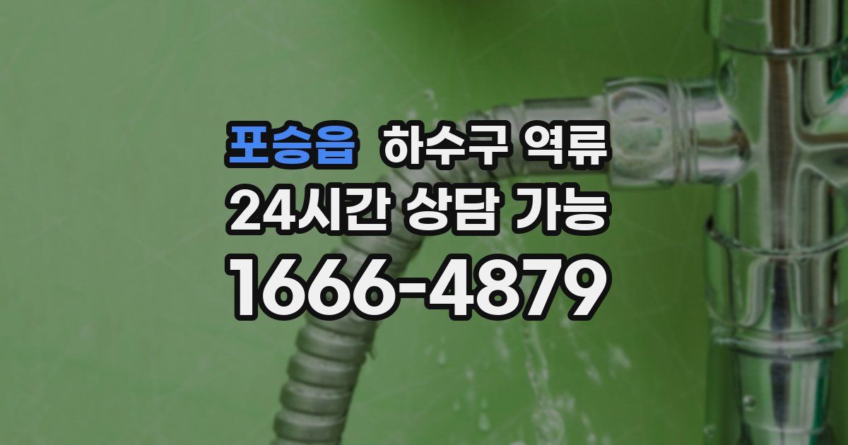 포승읍 하수구 역류