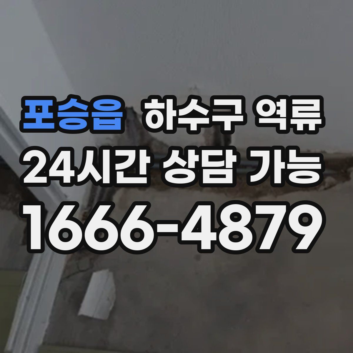 포승읍 하수구 역류