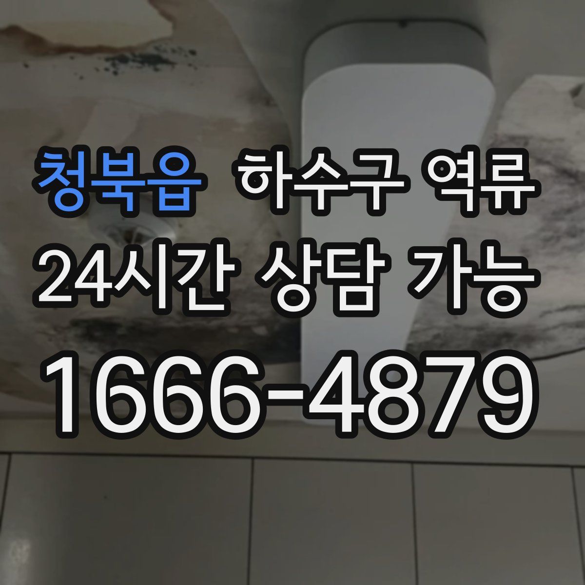 청북읍 하수구 역류