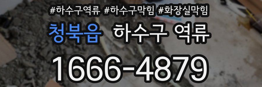 청북읍 하수구 역류