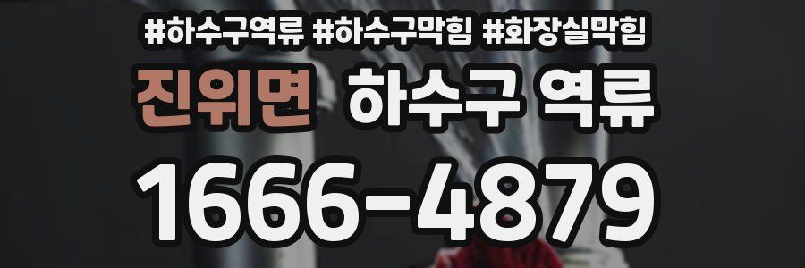 진위면 하수구 역류