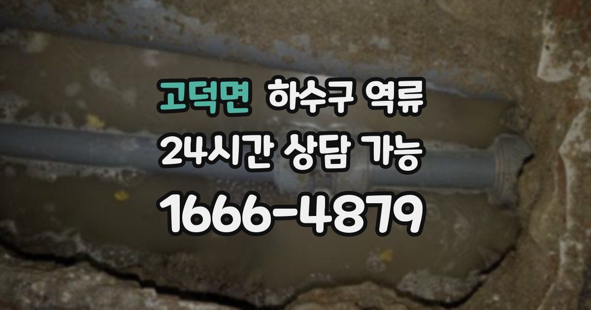 고덕면 하수구 역류