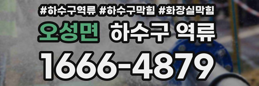 오성면 하수구 역류
