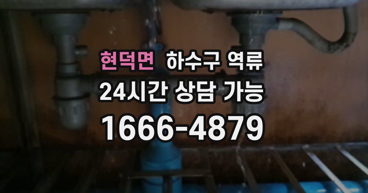 현덕면 하수구 역류