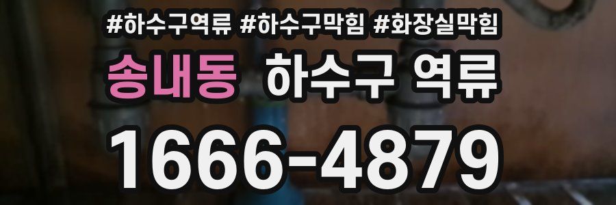 송내동 하수구 역류