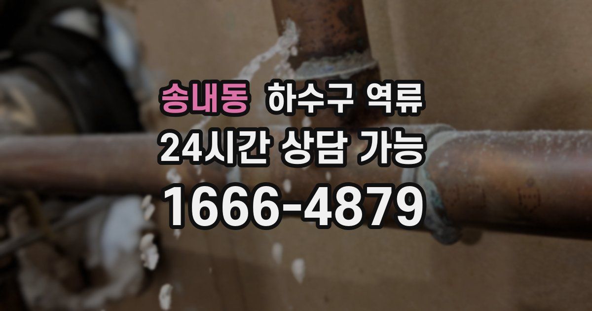 송내동 하수구 역류