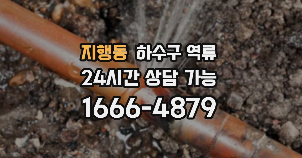 지행동 하수구 역류
