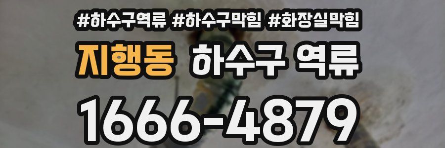 지행동 하수구 역류