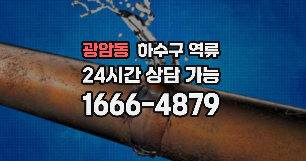 광암동 하수구 역류