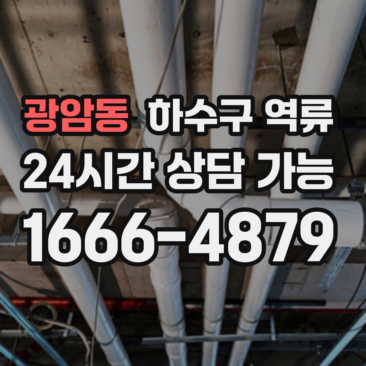 광암동 하수구 역류