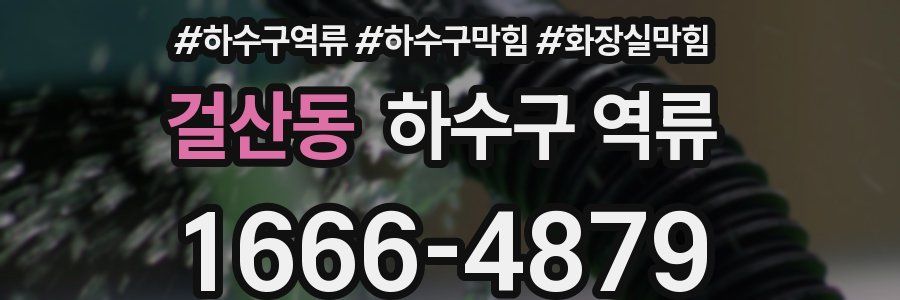 걸산동 하수구 역류